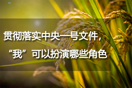 貫徹落實(shí)中央一號(hào)文件，“我”可以扮演哪些角色？